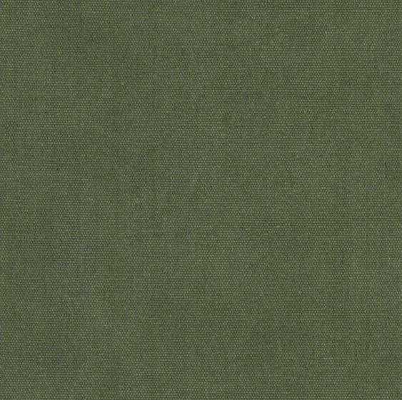 Heavy Washed Canvas army
