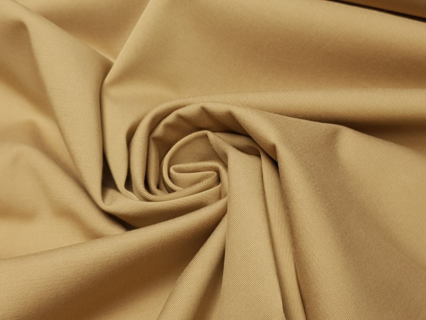 Arcadia camel