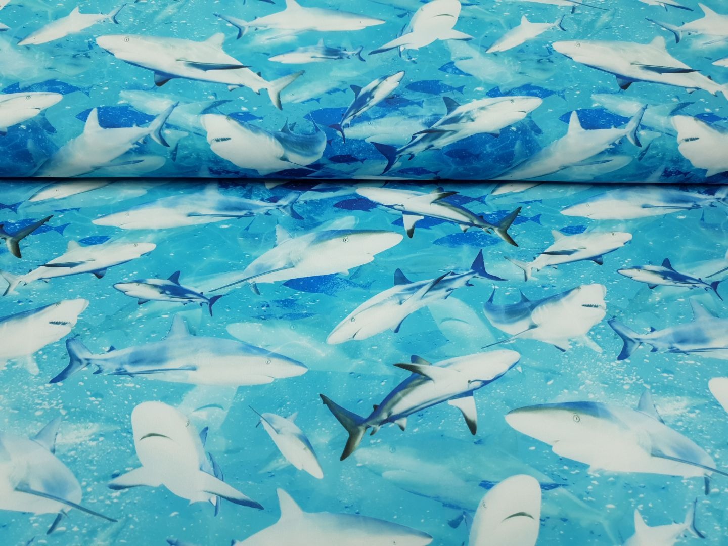 Bade und Sportlycra Sharks türkis/offwhite