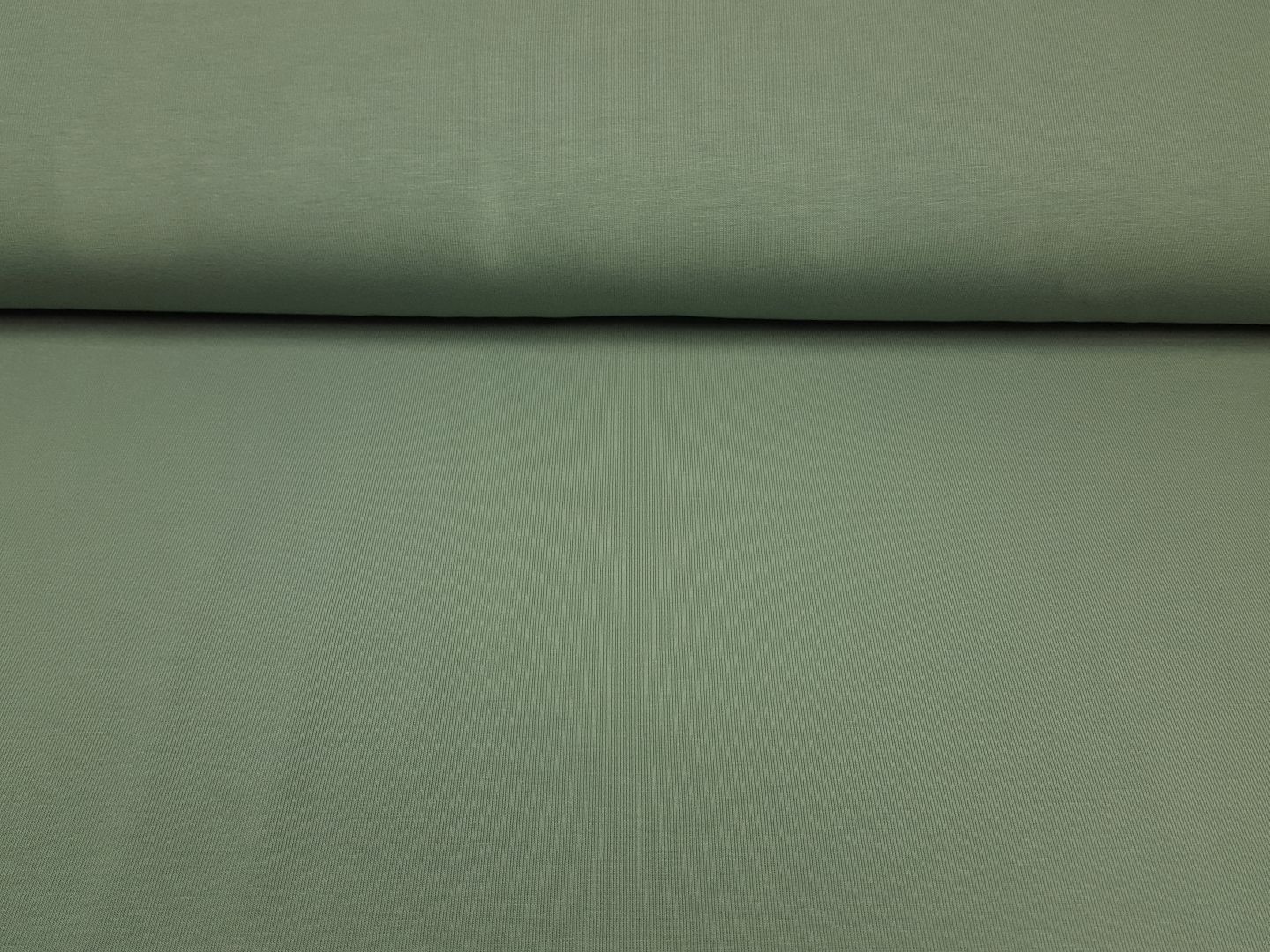 Bio-Baumwolljersey dusty mint