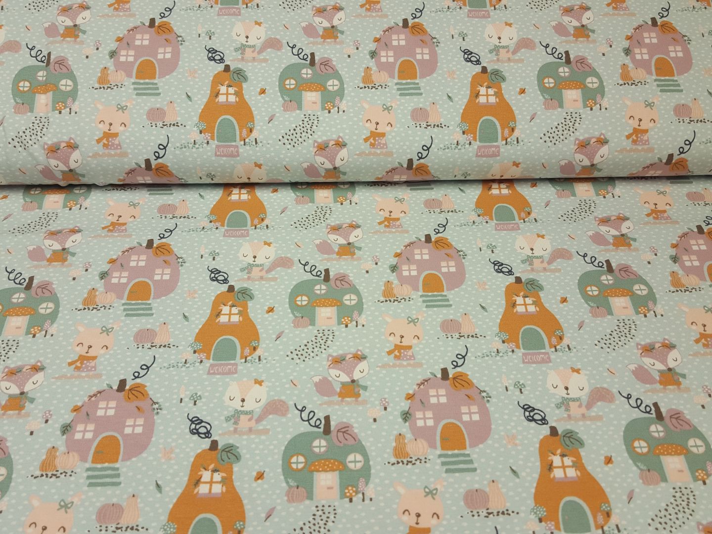 Bio-Baumwolljersey Sweet Home mint/bunt