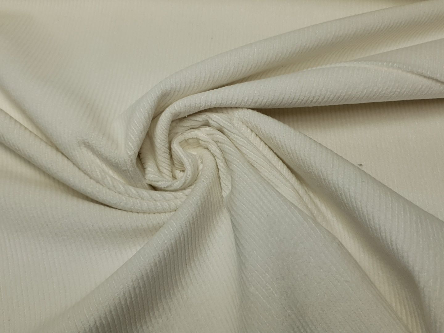 Björn offwhite
