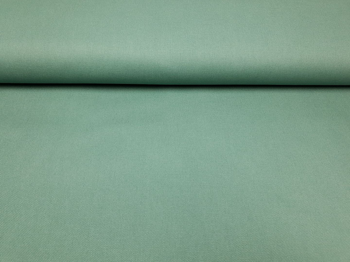 Canvas dustymint