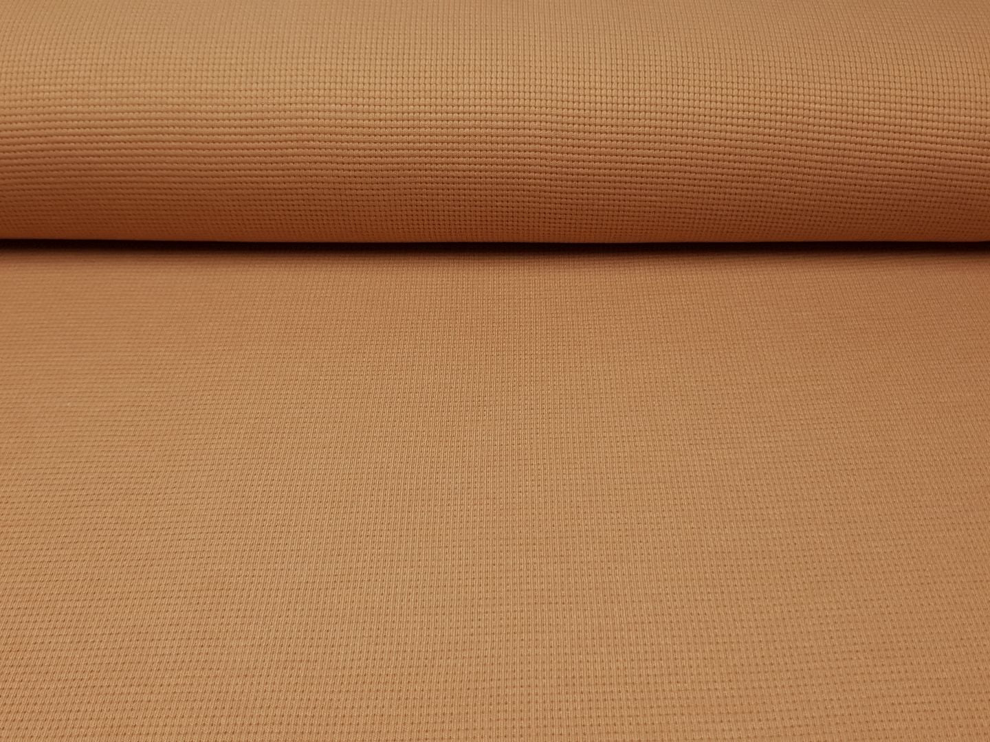 Clarissa apricot
