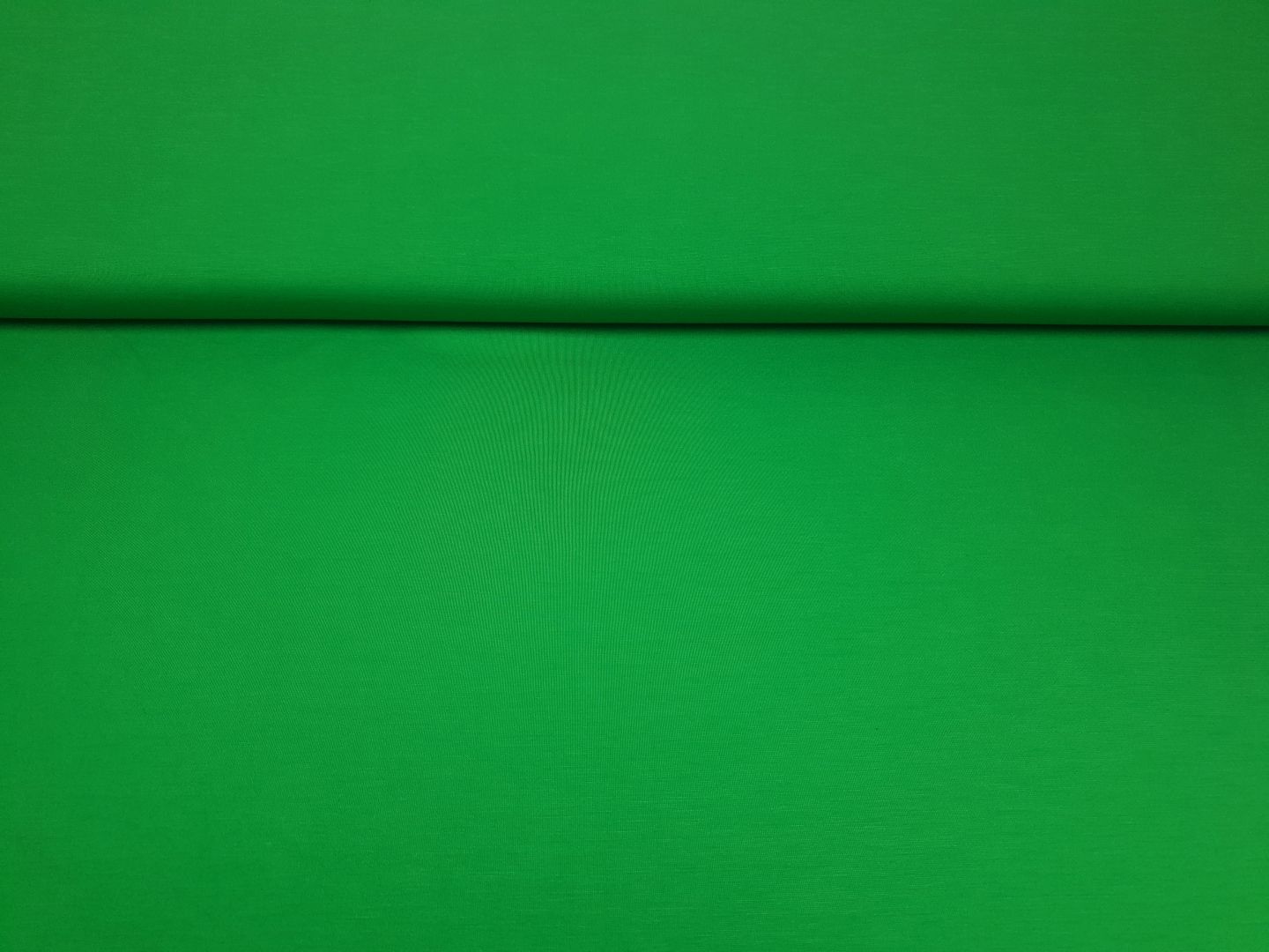 Einzelstück Viskosejersey grasgrün