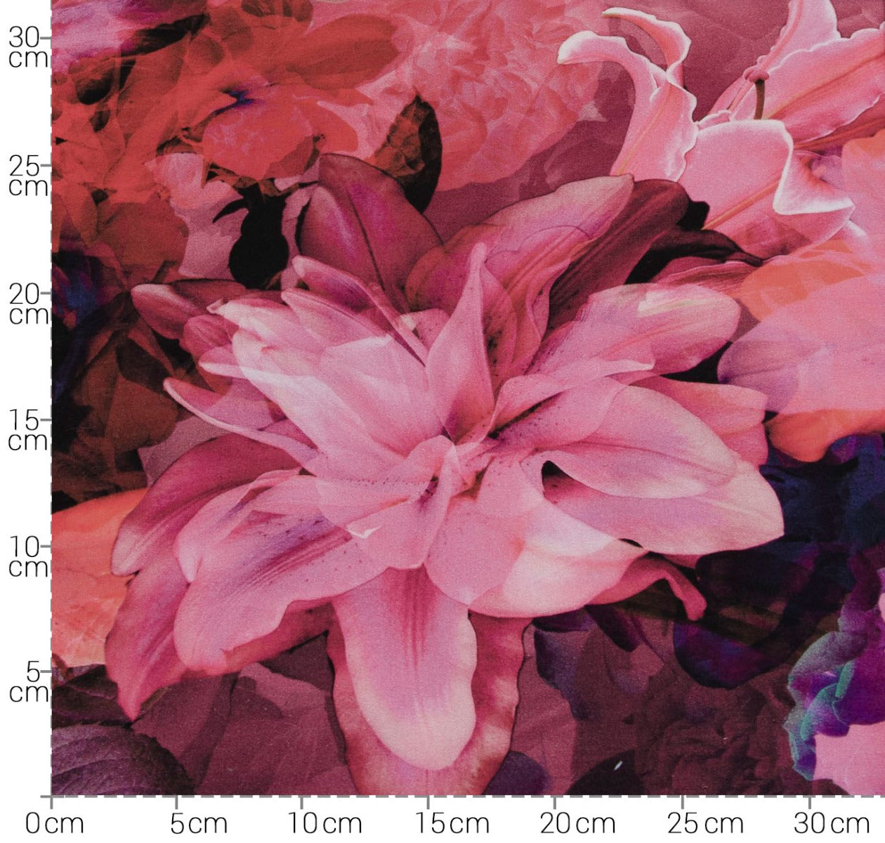 Roxane altrosa/bordeaux/pink