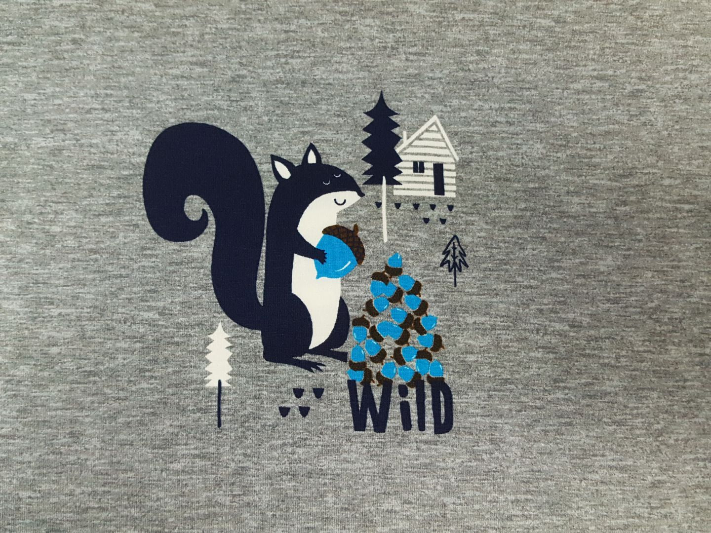 Highland Eichhörnchen grau meliert-offwhite-blau