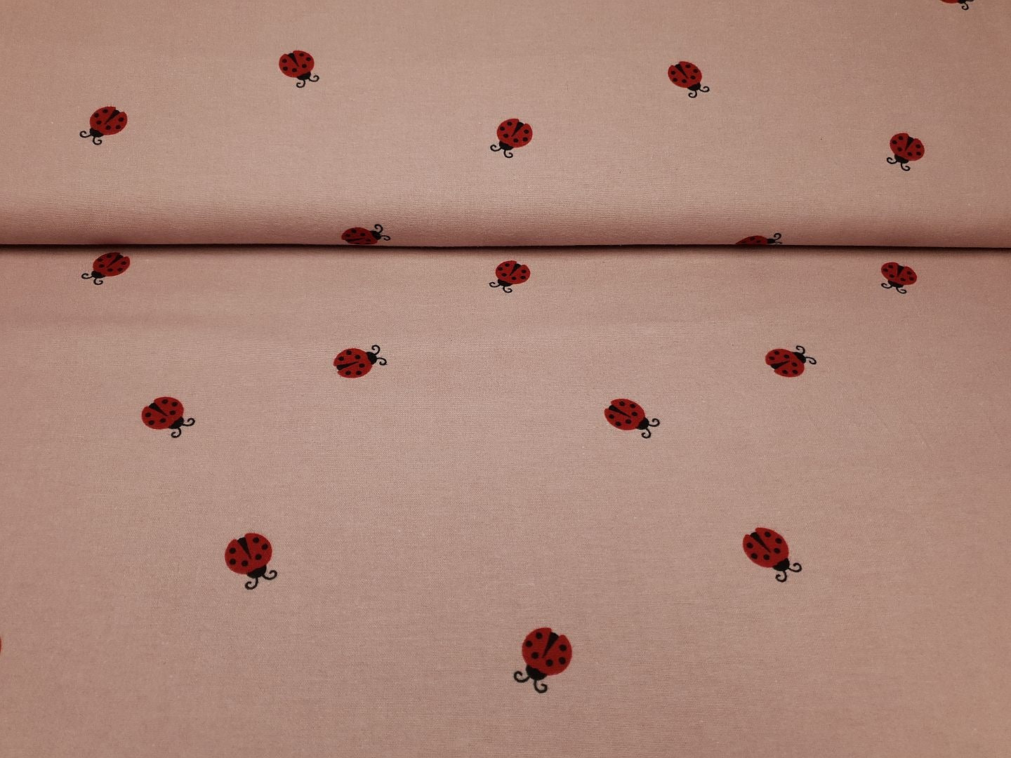 Ladybug altrosa/rot/schwarz
