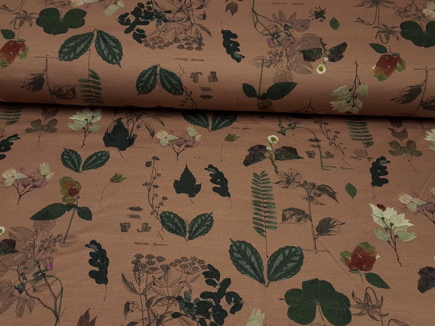 Lino dustyaltrosa/bunt