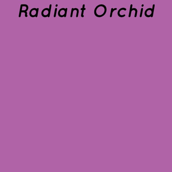 Radiant Orchid