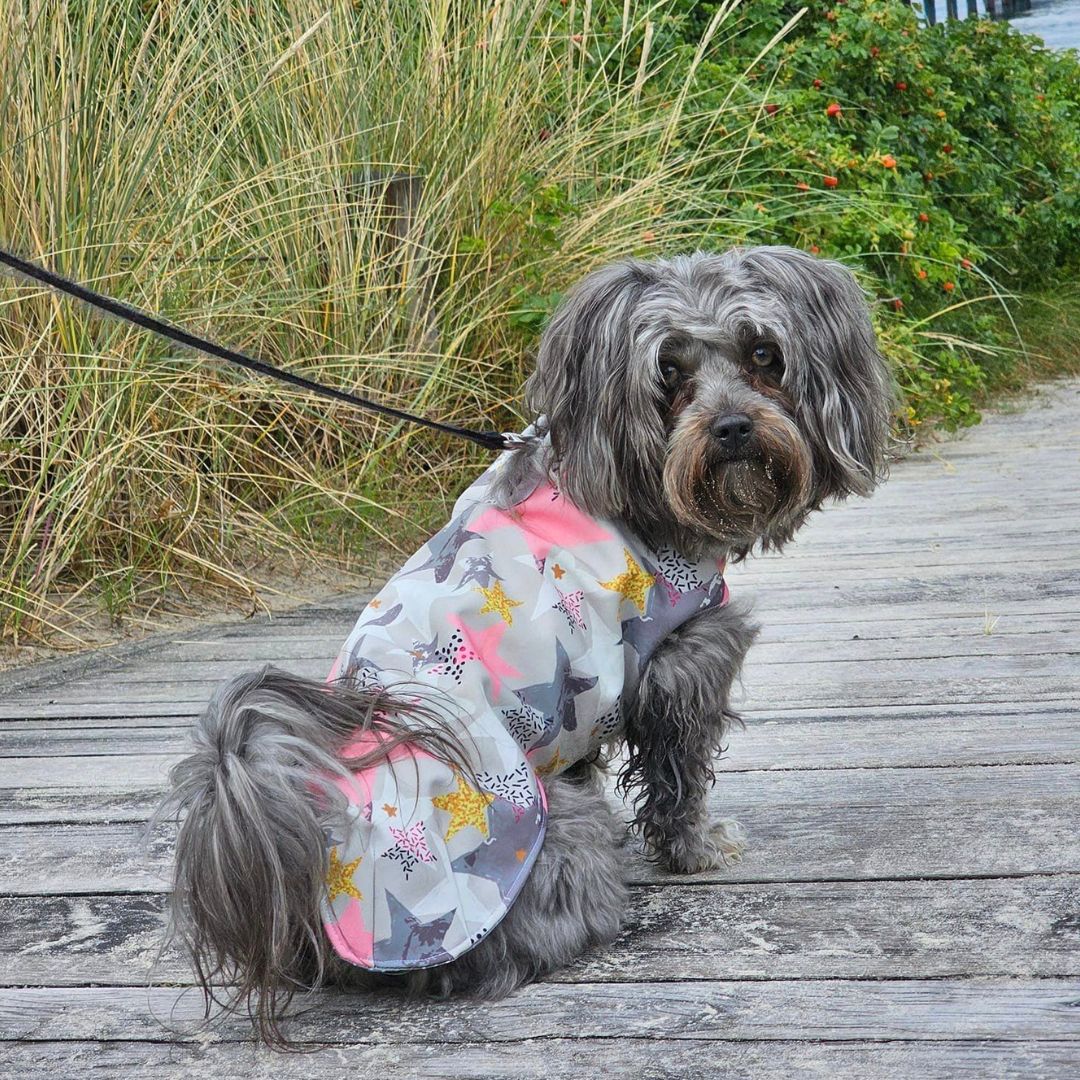 Papierschnittmuster Allwettermantel für Hunde von Fadenkäfer