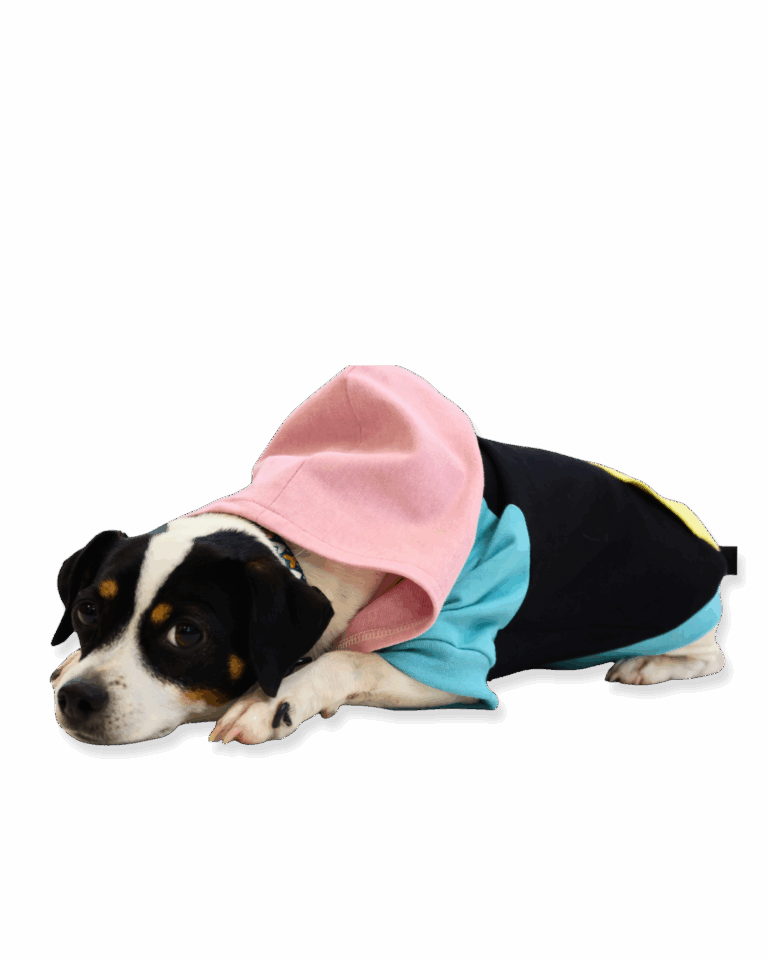 Papierschnittmuster Hunde-Hoodie von Fadenkäfer