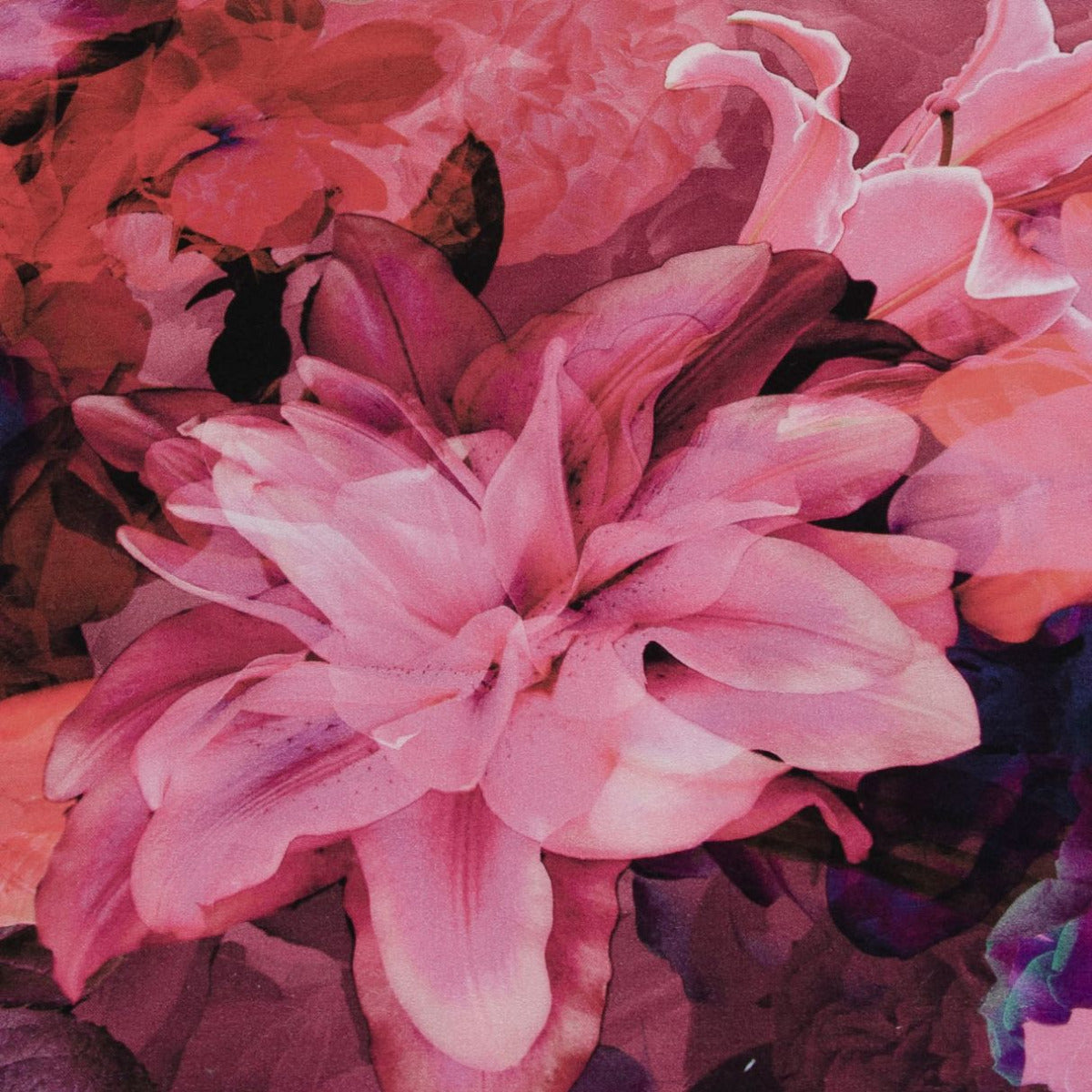 Roxane altrosa/bordeaux/pink