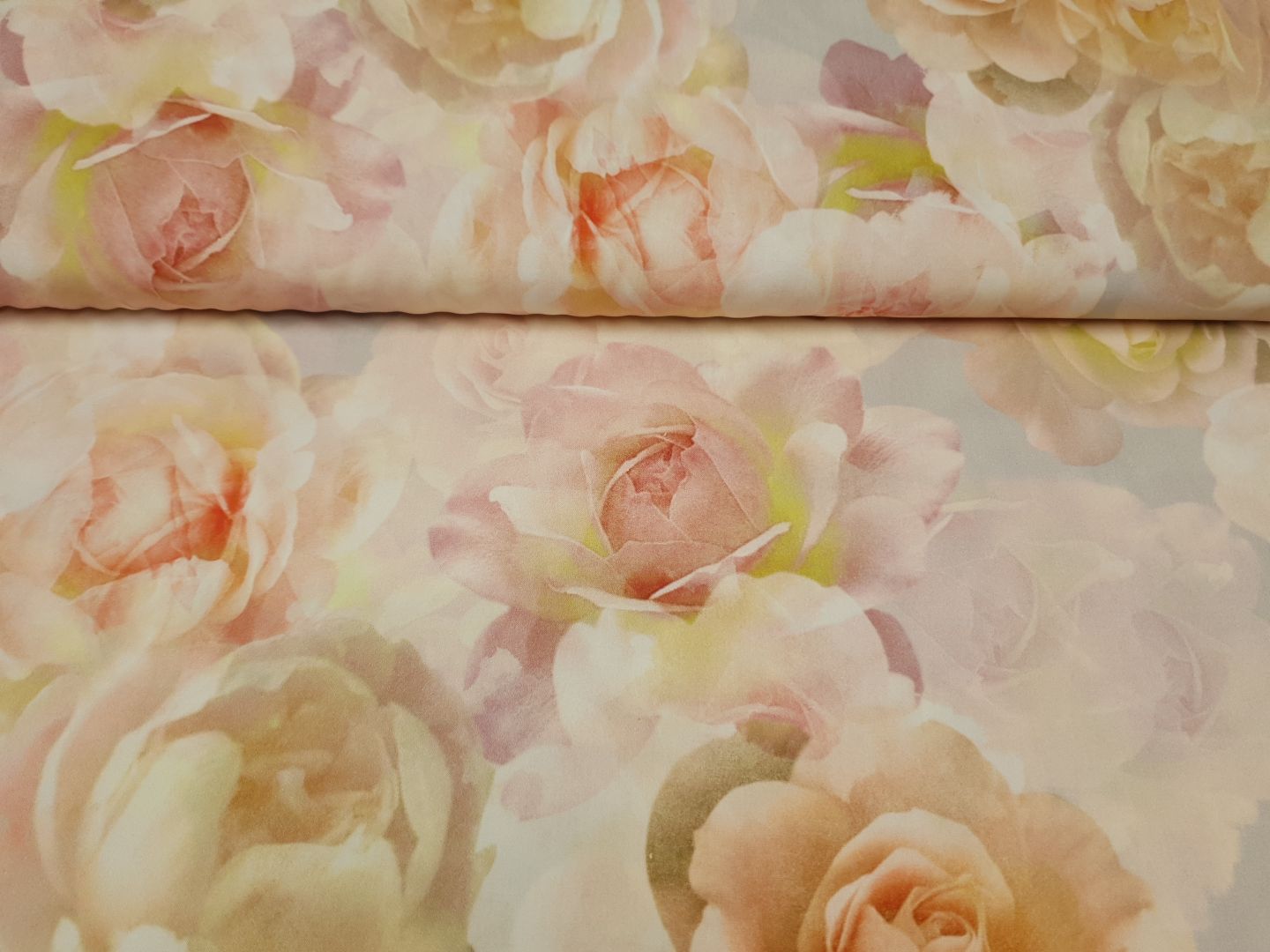 Rose soft rose/peach