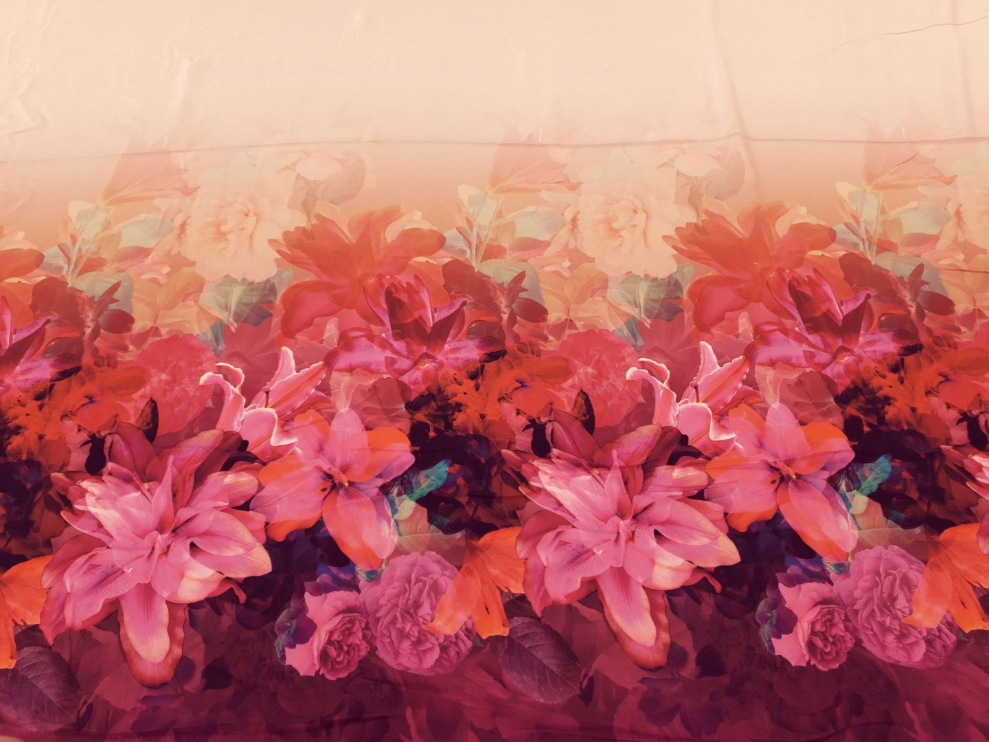 Roxane altrosa/bordeaux/pink