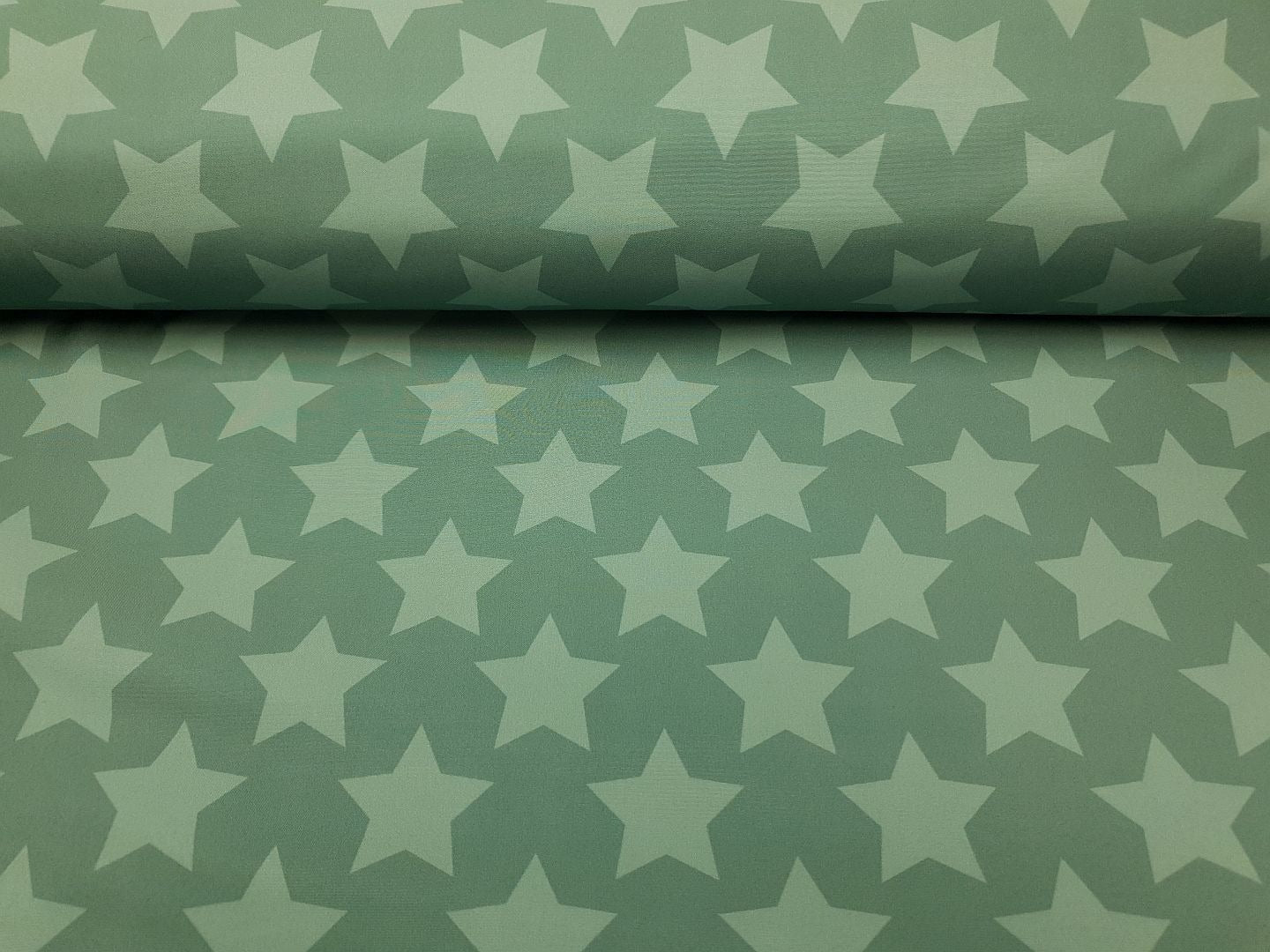 Softshell Stars dustymint/mint