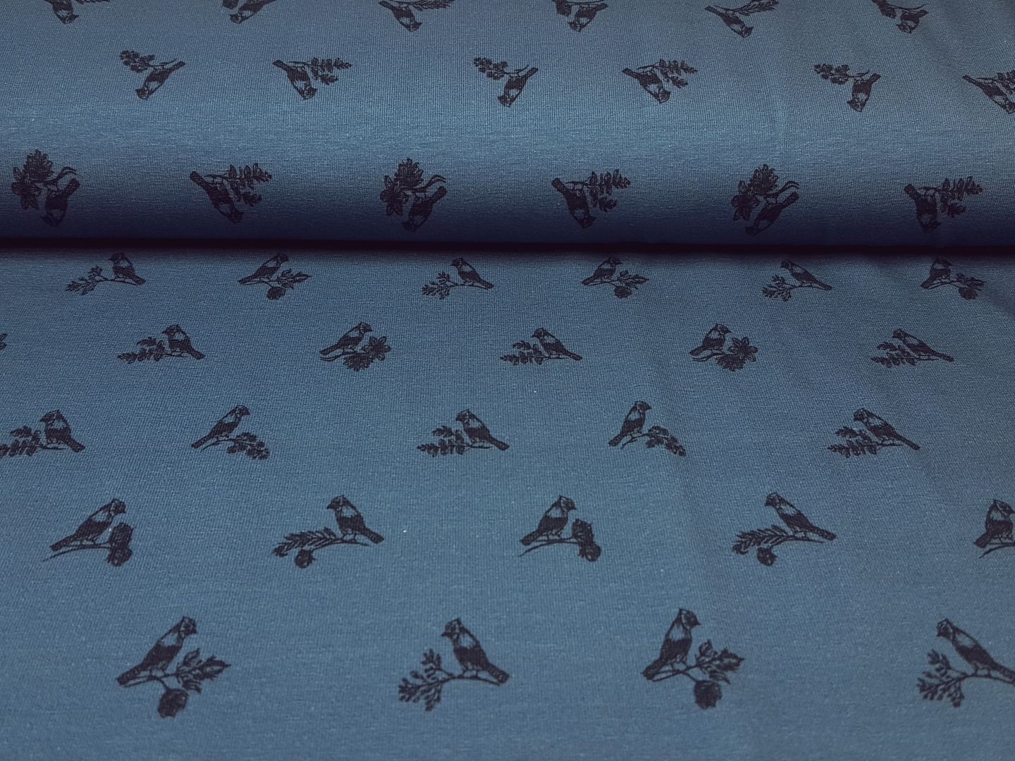 Twittering dusty blue/anthrazit