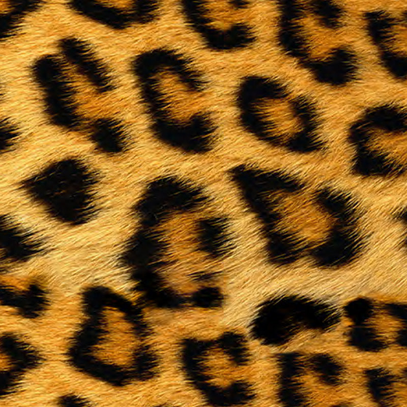 Siser EasyPattern Wild Leopard