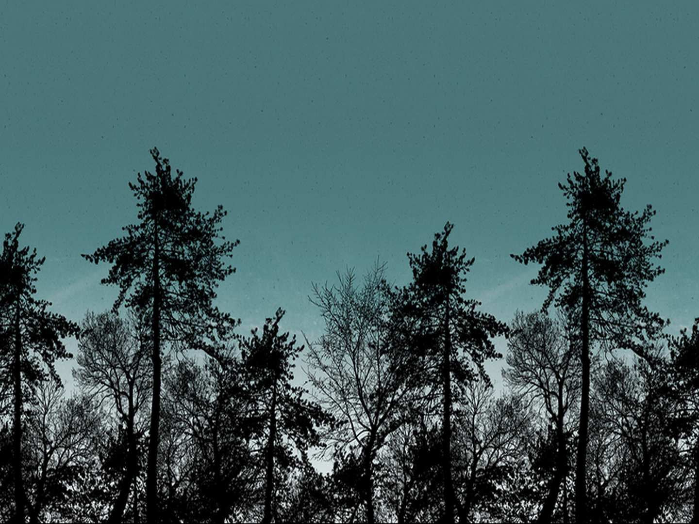 Wyld Forest by Thorsten Berger Dark Wood petrol