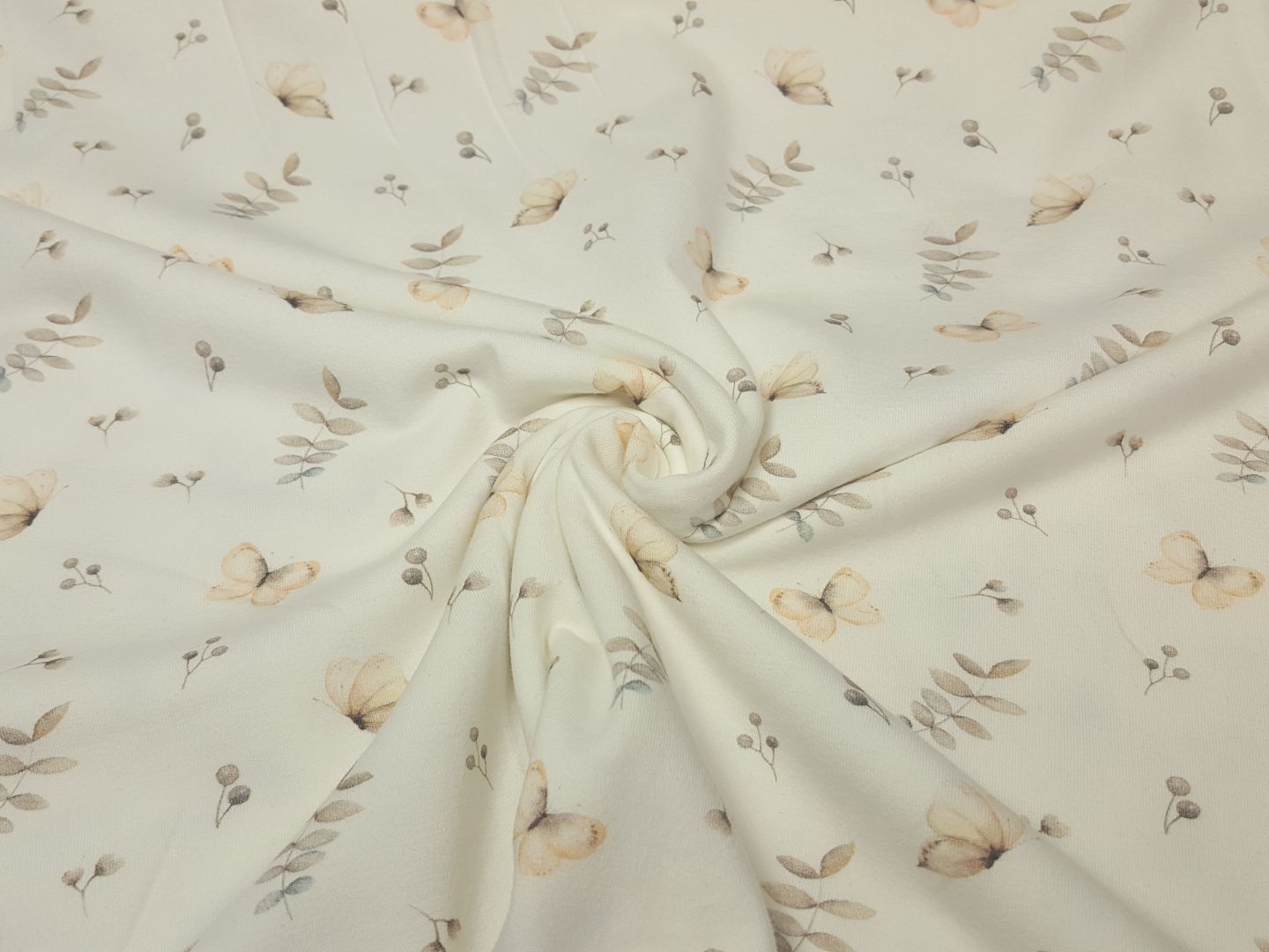 Zitronenfalter offwhite