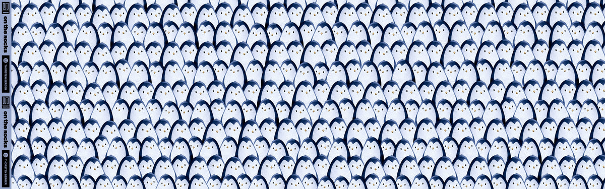 On the Rocks Penguins by Thorsten Berger nachtblau/hellgrau/weiss/gelb