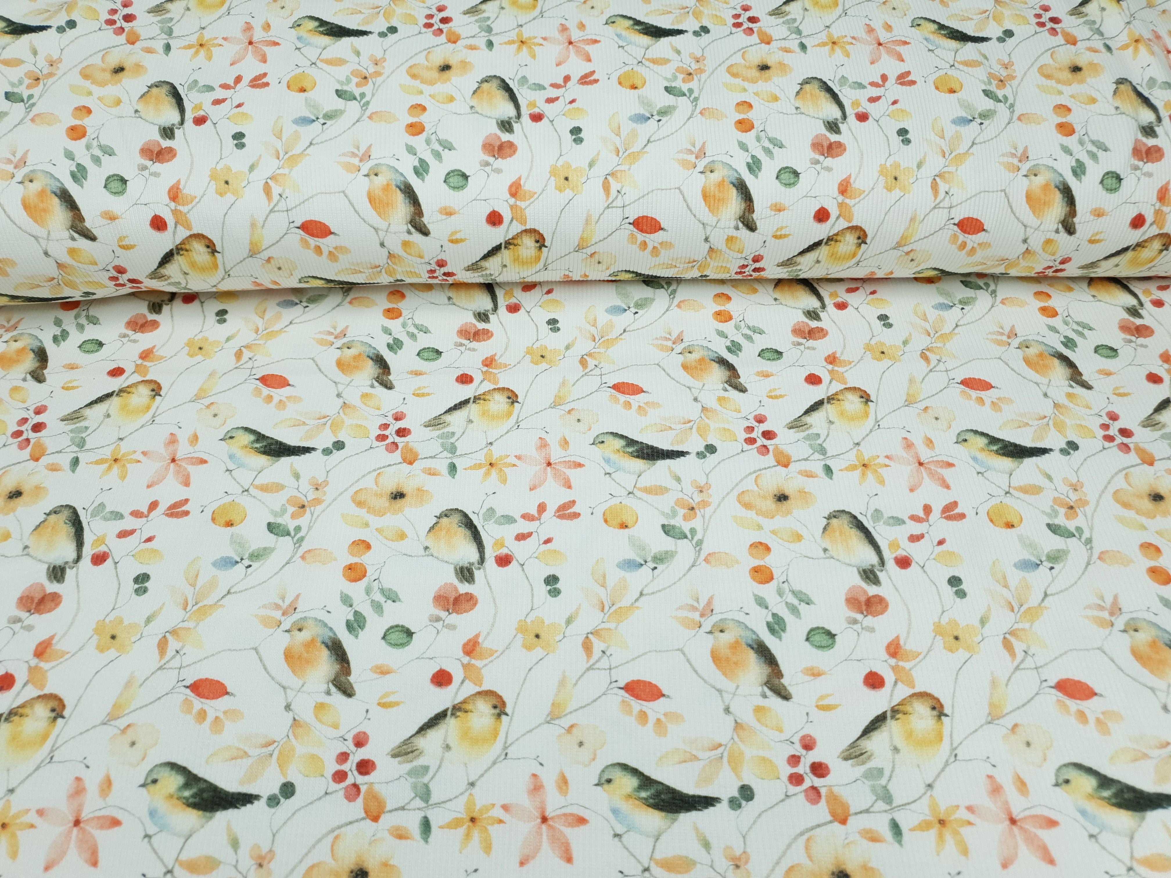 Rippjersey Pia offwhite/apricot/orange/grün