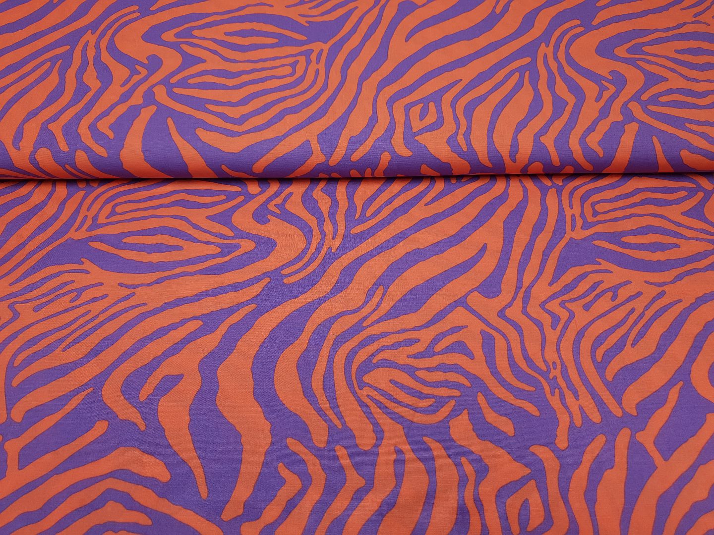 Zebra koralle/lila