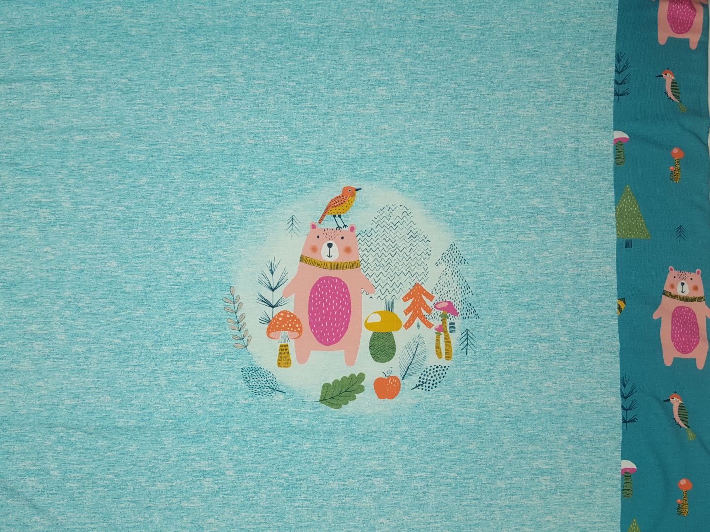 Forrest Bear türkis/bunt