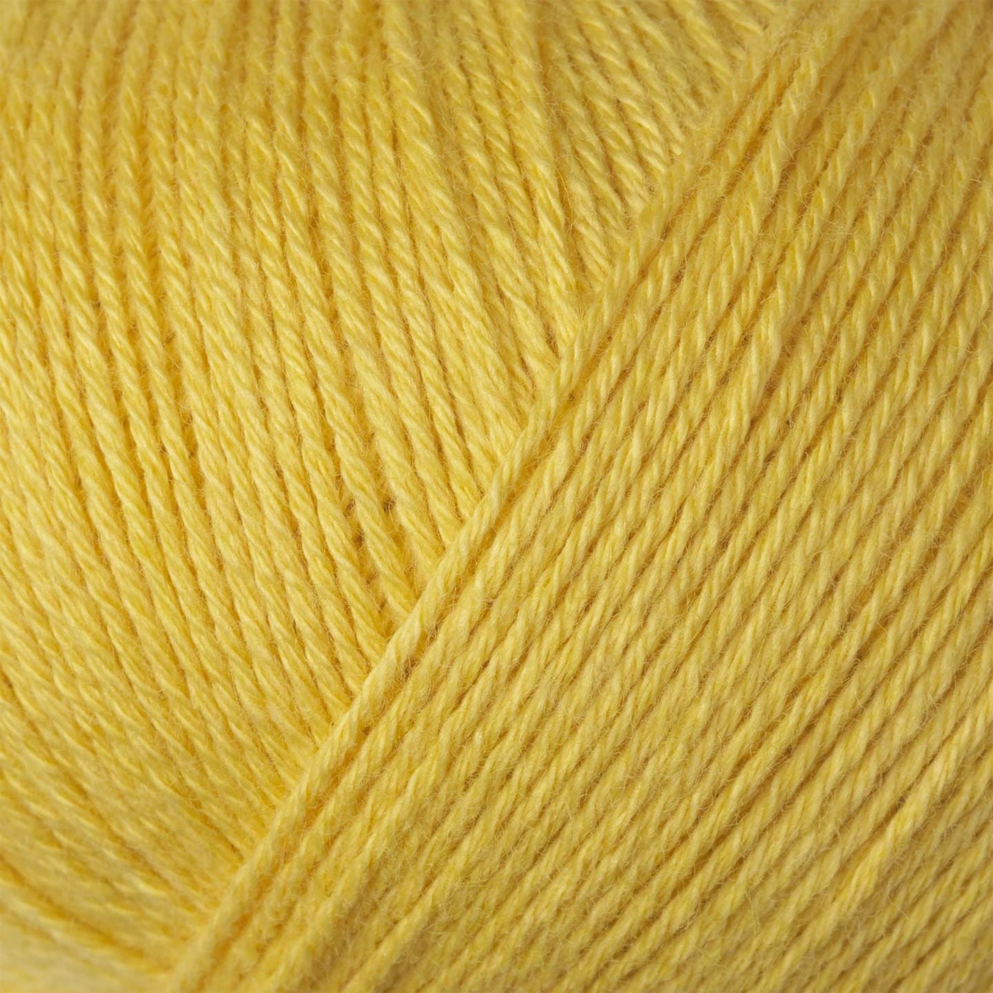 Knitting for Olive Cotton Merino