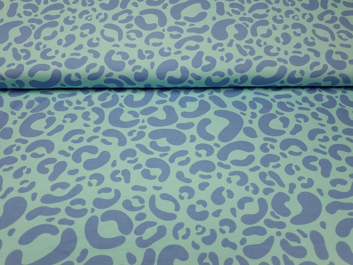 Leo aqua/lila