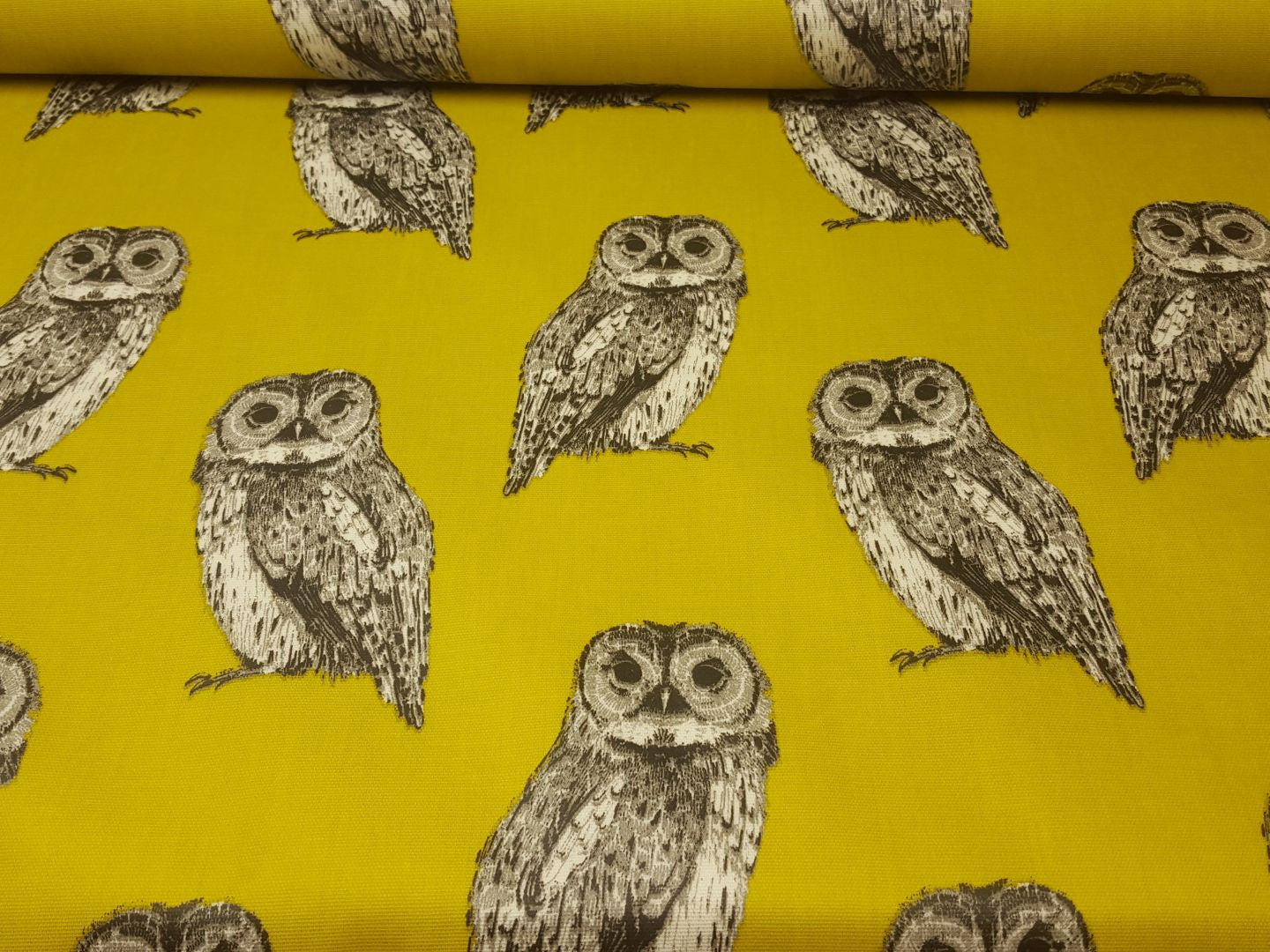 Owl senfgelb/grau
