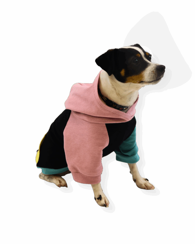 Papierschnittmuster Hunde-Hoodie von Fadenkäfer