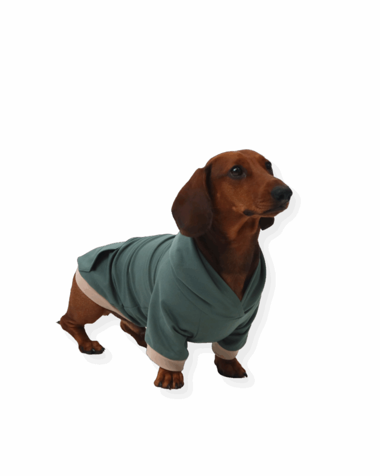 Papierschnittmuster Hunde-Hoodie von Fadenkäfer