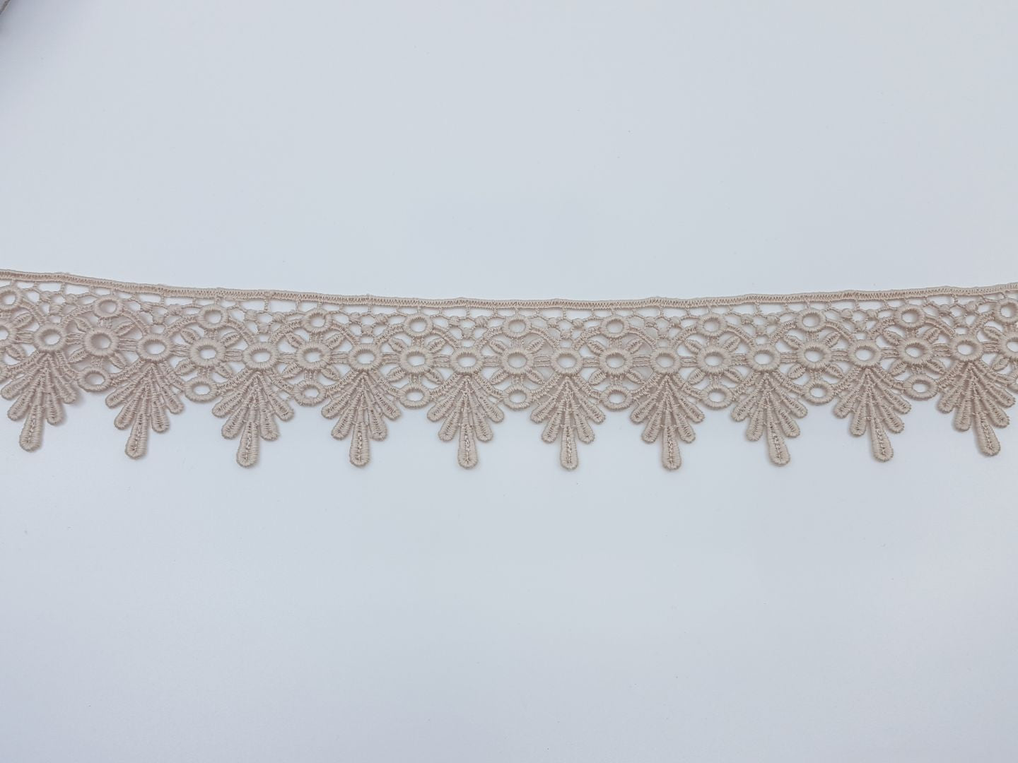 Spitze Fleurs 47mm beige